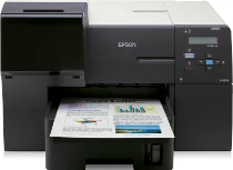 Epson B-310N