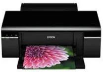 Epson Stylus Photo T50